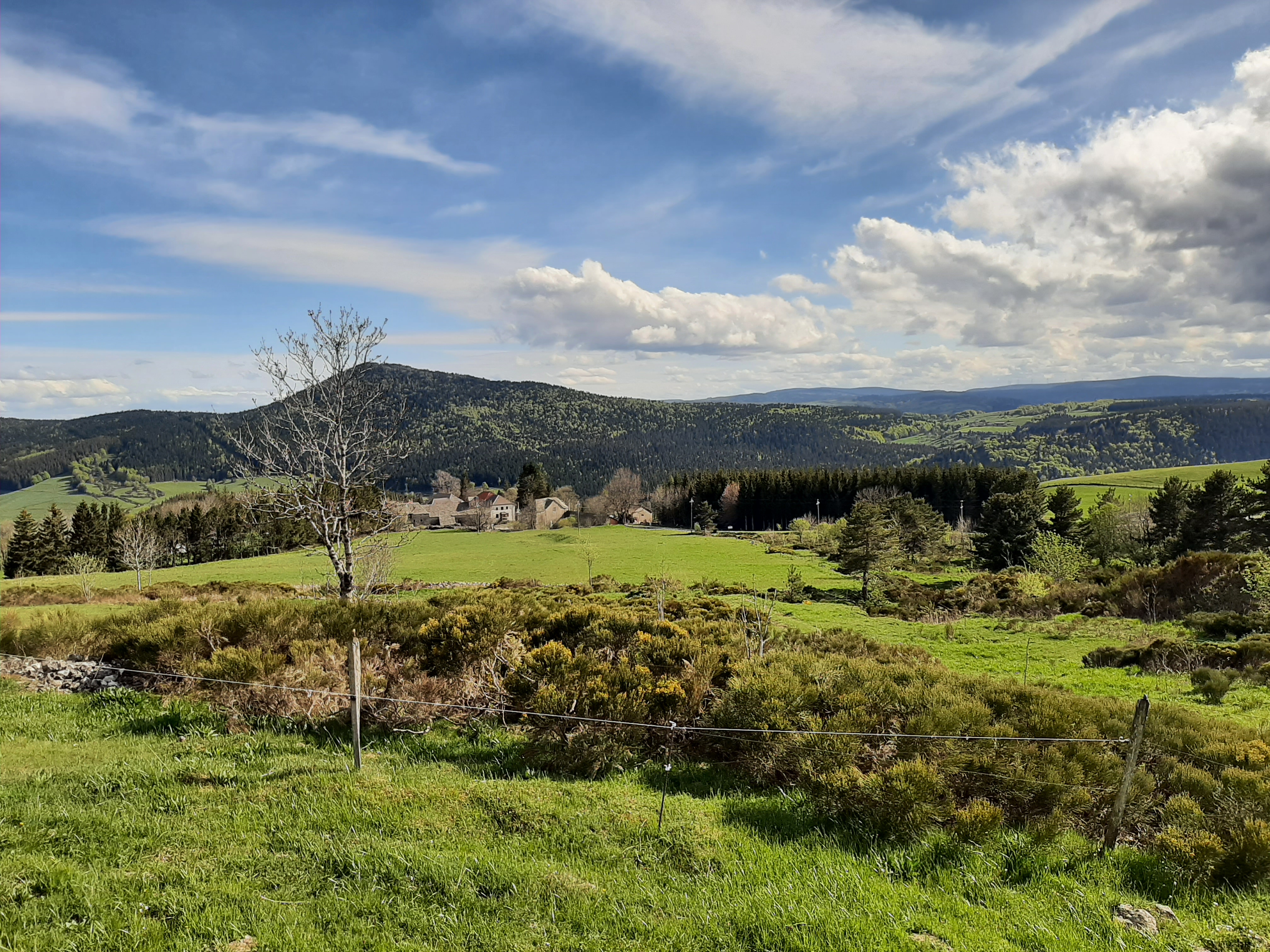 Photo n° 1 de l'avis de Ulysse.8 fait le 17/06/2021 à 09:00