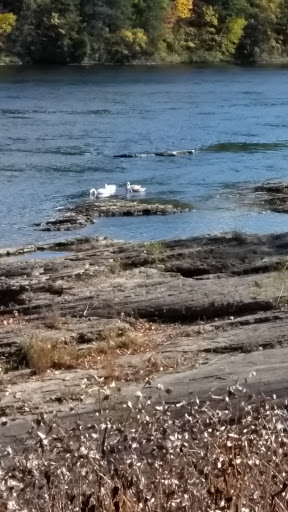Tourist Attraction «Dinosaur Footprints», reviews and photos, US-5, Holyoke, MA 01040, USA