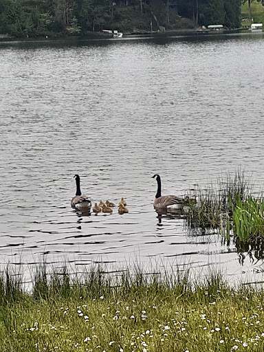 Wedding Venue «Green Gates At Flowing Lake», reviews and photos, 4919 175th Ave SE, Snohomish, WA 98290, USA