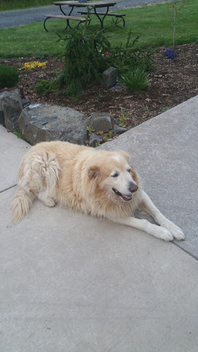 Winery «Moulton Falls Winery», reviews and photos, 31101 NE Railroad Ave, Yacolt, WA 98675, USA