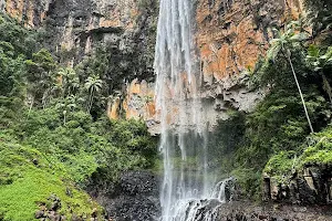 Purling Brook Falls, Springbrook National Park image