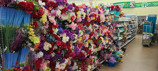 Dollar Store «Dollar Tree», reviews and photos, 241 Towne Center Blvd, Sanford, FL 32771, USA