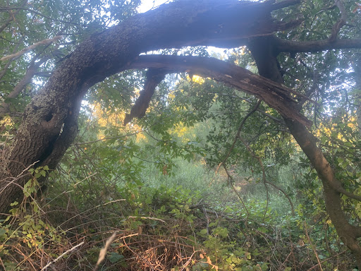 Health Club «24 Hour Fitness», reviews and photos, 336 N Sunrise Ave, Roseville, CA 95661, USA