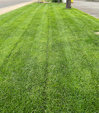 Grow Amarillo
