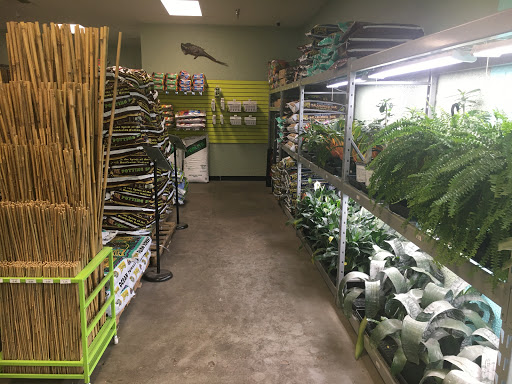 Pet Store «Tye-Dyed Iguana - Reptiles», reviews and photos, 1905 W U.S. 50, Fairview Heights, IL 62208, USA