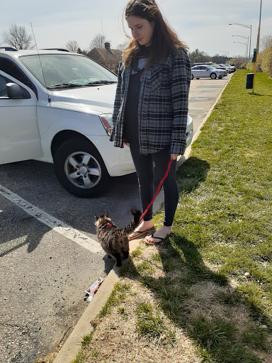 Pet Supply Store «Panhandle Pet Supply», reviews and photos, 3661 N Monroe St, Tallahassee, FL 32303, USA