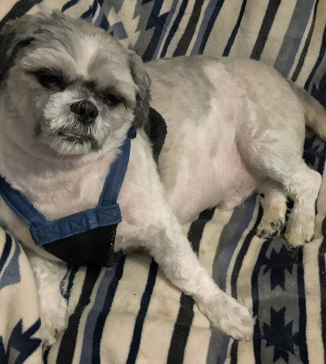 2611 Willow Street Pike, Willow Street, PA 17584, USA