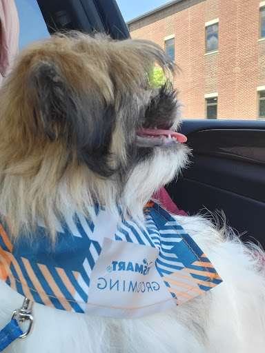 Pet Supply Store «PetSmart», reviews and photos, 1743 Stringtown Rd, Grove City, OH 43123, USA