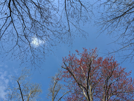 Tourist Attraction «Wheaton Miniature Train», reviews and photos, 2002 Shorefield Rd, Wheaton, MD 20902, USA