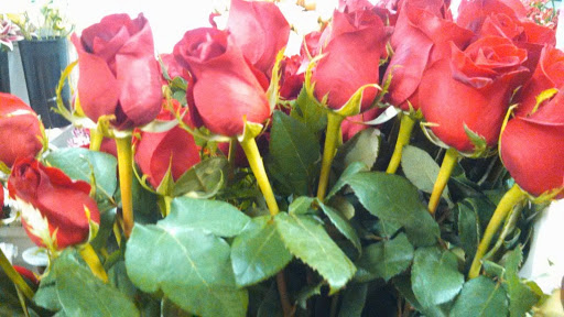 Florist «Up-Towne Flowers & Gift Shoppe», reviews and photos, 2145 W Dublin Granville Rd, Worthington, OH 43085, USA