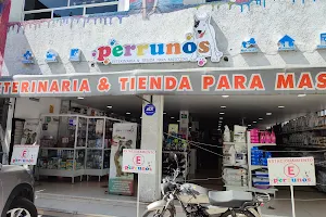 Perrunos Veterinaria Metepec image