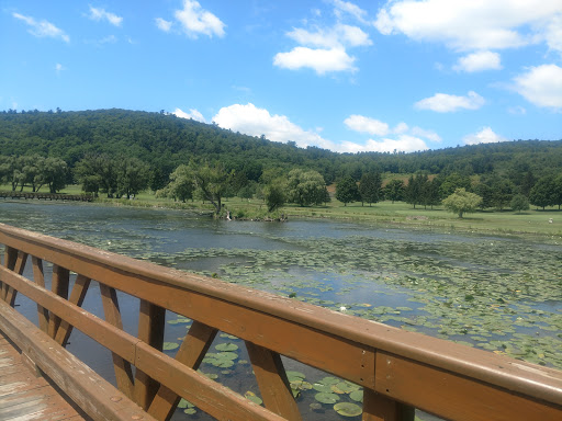 Public Golf Course «Leatherstocking Golf Course», reviews and photos, 60 Lake St, Cooperstown, NY 13326, USA