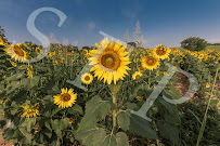 Herbert Glaze Photography - Photo 8 - Car repair in , Monroe