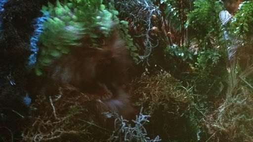 Museum «Museum of the Moving Image», reviews and photos, 36-01 35th Ave, Queens, NY 11106, USA