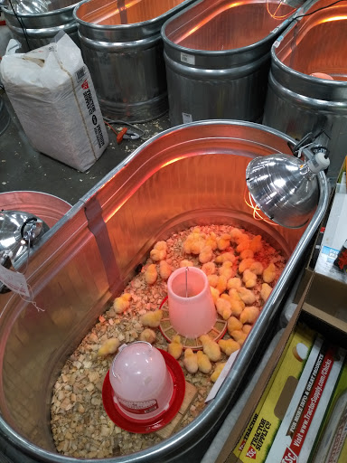 Home Improvement Store «Tractor Supply Co.», reviews and photos, 9273 Cafferty Ct, Inver Grove Heights, MN 55076, USA