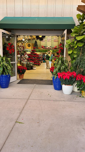 Plant shops in San Diego