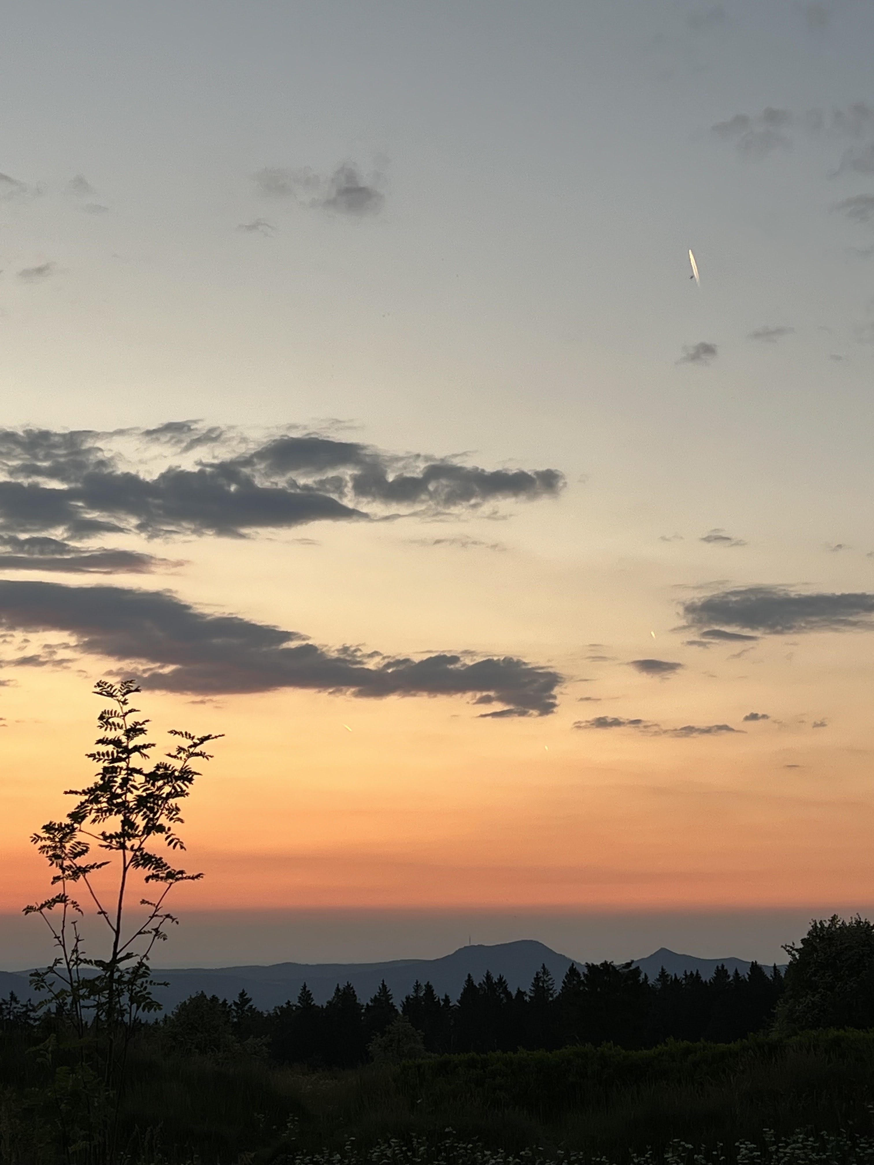 Photo n° 3 de l'avis de chanelaleroux. fait le 30/10/2018 à 10:54