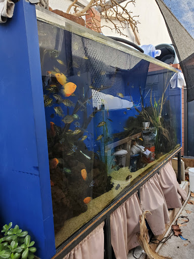 Pet Supply Store «Lotus Aquarium», reviews and photos, 14704 Hawthorne Blvd, Lawndale, CA 90260, USA