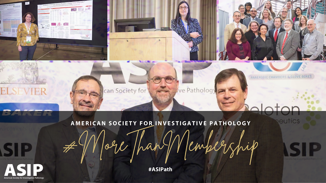 American Society for Investigative Pathology