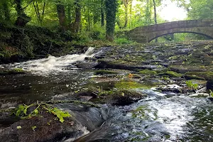 Rivelin Valley Conservation Group image