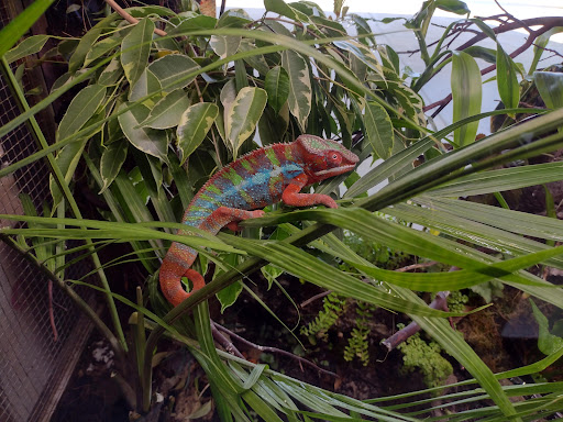 Tropical Fish Store «Optimum Aquarium», reviews and photos, 840 Ernest W Barrett Pkwy NW #700, Kennesaw, GA 30144, USA