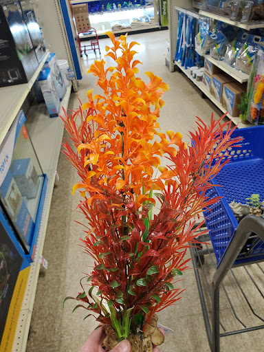 Pet Supply Store «PetSmart», reviews and photos, 4142 Commonwealth Ave, Eau Claire, WI 54701, USA