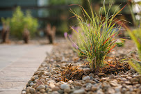 All Terrain Landscaping - Photo 9 - Car repair in Greeley, CO, Fort Collins