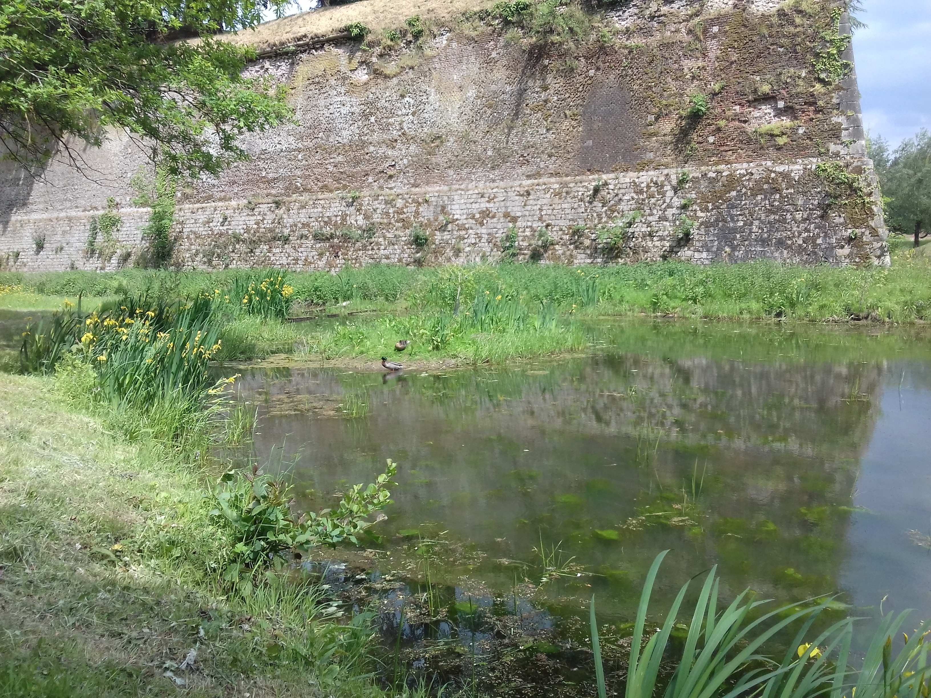Photo n° 4 de l'avis de Fabrice.u fait le 13/05/2020 à 18:55