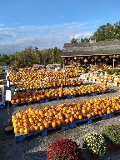 Produce Market «The Bigsby Market», reviews and photos, 1418 Dryden Rd, Freeville, NY 13068, USA