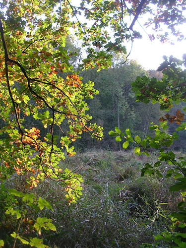 Bois de Lauzelle - Parkeergarage