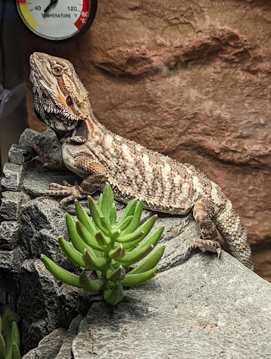 Pet Supply Store «PetSmart», reviews and photos, 14290 Plymouth Ave, Burnsville, MN 55337, USA