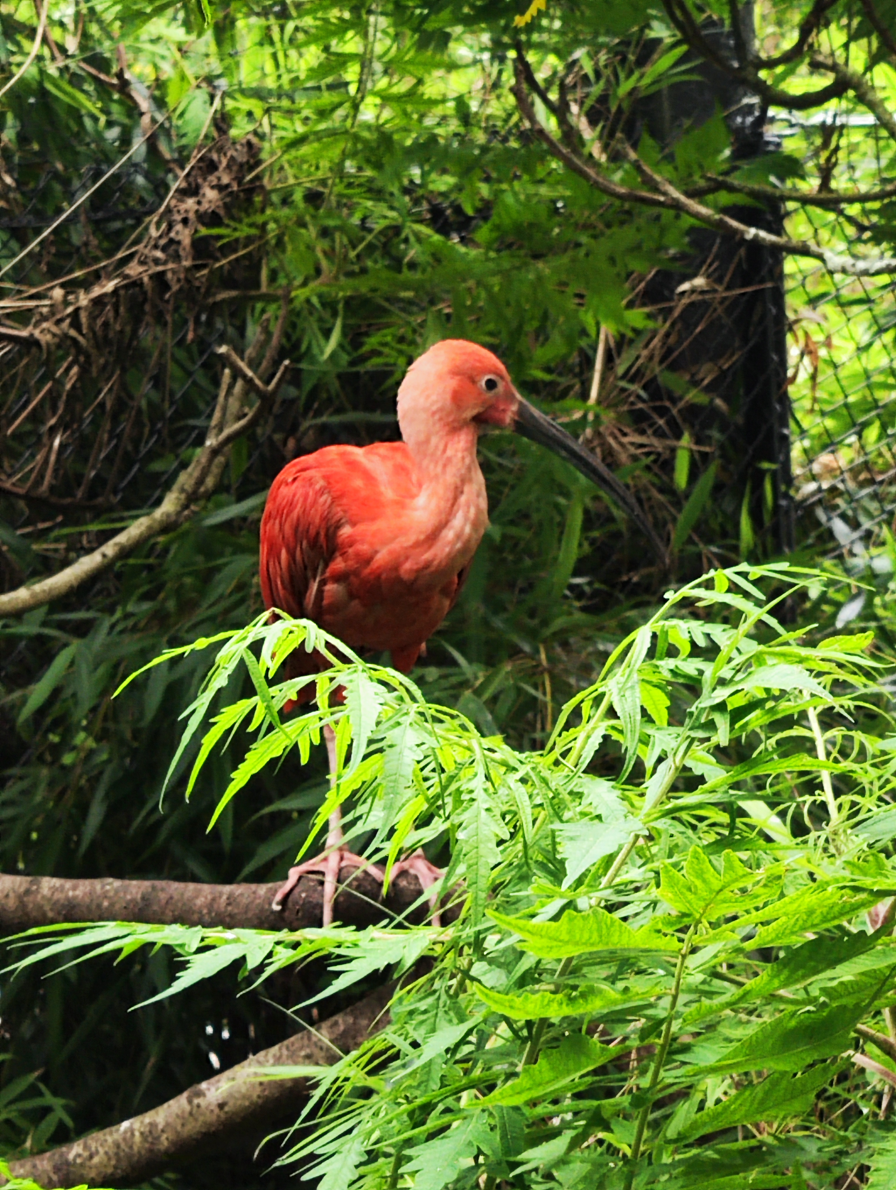Photo n° 1 de l'avis de Aurelie.o fait le 03/08/2023 à 21:29