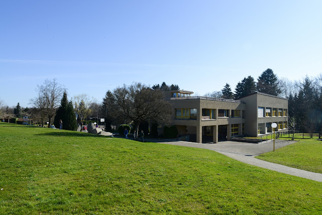Primarschule Berg SG - Arbon