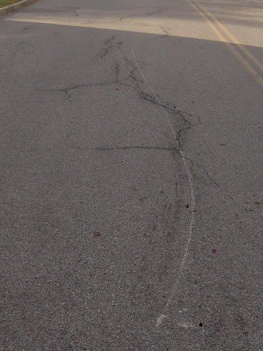 Towing Service «Extreme Towing & Recovery LLC», reviews and photos, 955 NY-376, Wappingers Falls, NY 12590, USA