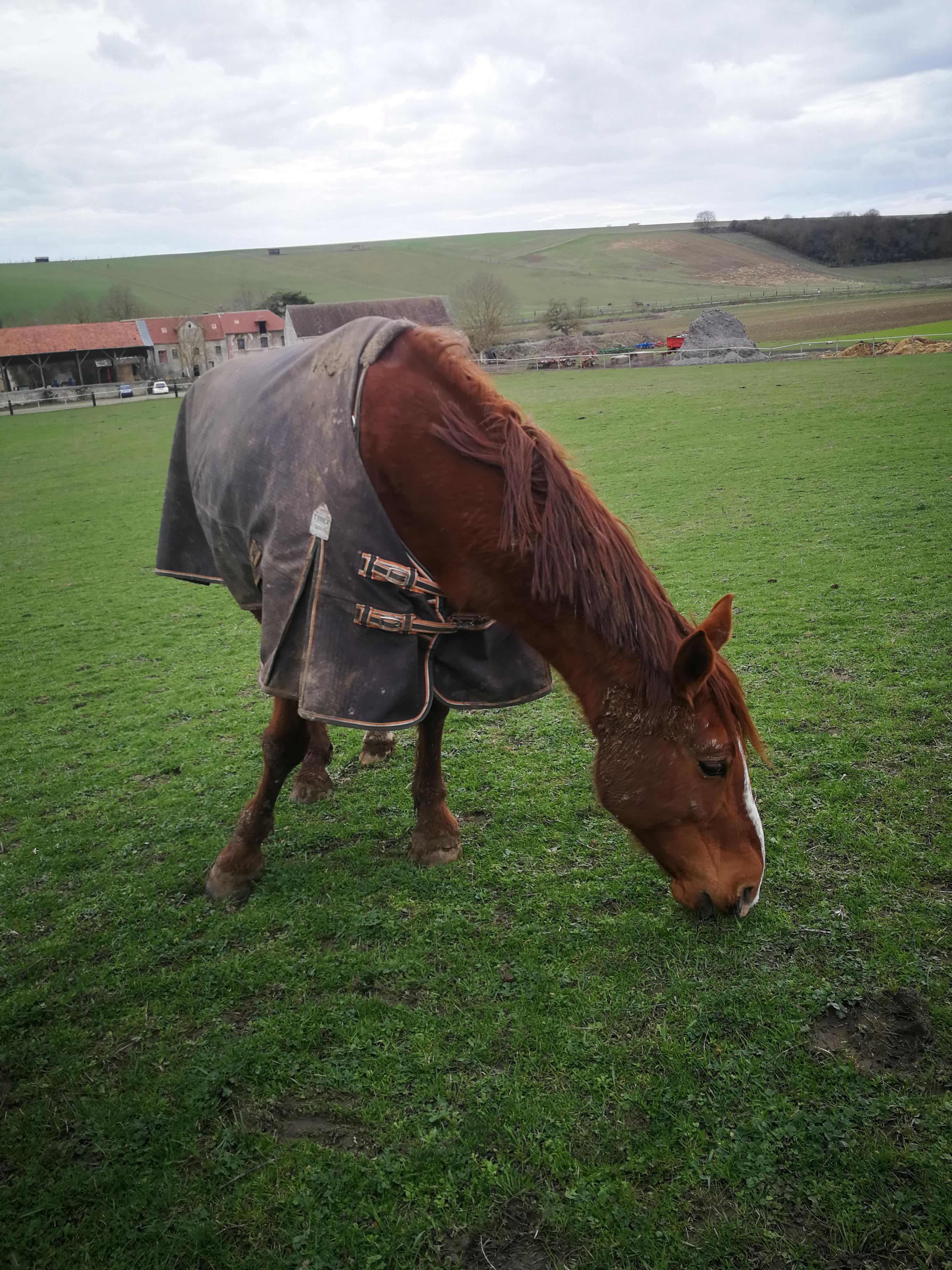 Photo n° 3 de l'avis de Elise.o fait le 28/03/2019 à 21:16