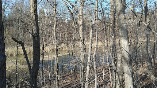 Park «Van Buren Park Beach», reviews and photos, 50901 S Interstate 94 Service Dr, Belleville, MI 48111, USA