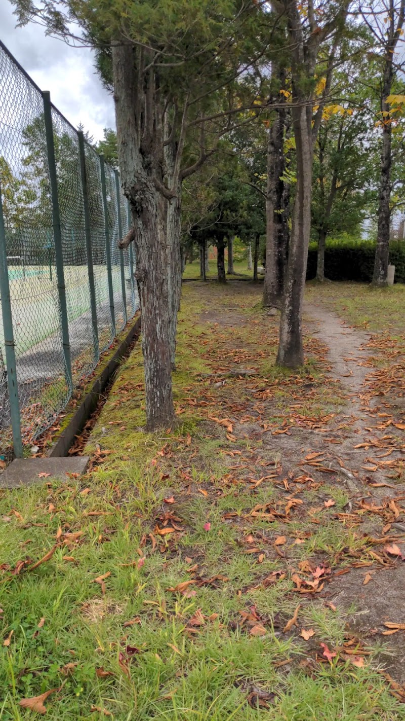 寺岡中央公園テニスコート