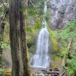 Marymere Falls Trail