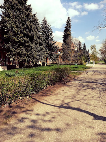 CSMEK Hódmezővásárhely-Makó Kakasszéki Gyógyintézet - Székkutas