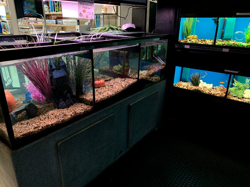 Pet Store «Wet Pets N Critters», reviews and photos, 103 TX-281 Loop, Longview, TX 75605, USA