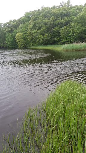 Park «Sweets Knoll State Park», reviews and photos, 1387 Somerset Ave, Dighton, MA 02715, USA