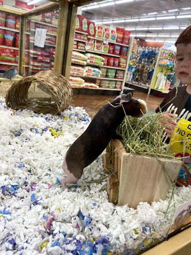 Pet Supply Store «Pet Supermarket», reviews and photos, 3201 Macon Rd #163, Columbus, GA 31906, USA