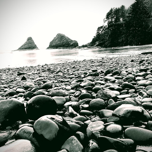 Tourist Attraction «Sea Lion Caves», reviews and photos, 91560 US-101, Florence, OR 97439, USA