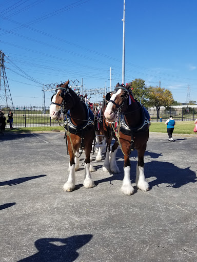 Tourist Attraction «Budweiser Brewery Experience», reviews and photos, 775 Gellhorn Dr, Houston, TX 77029, USA