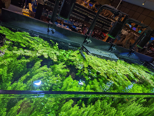 Aquarium Shop «Aquatics Unlimited / Aquatic Realmz», reviews and photos, 3550 S 108th St, Greenfield, WI 53228, USA