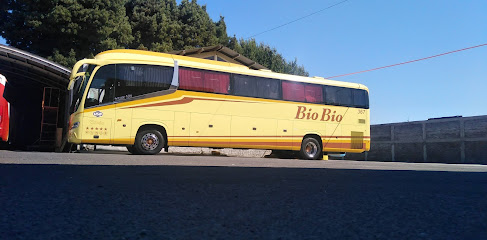 Buses Bio Bio