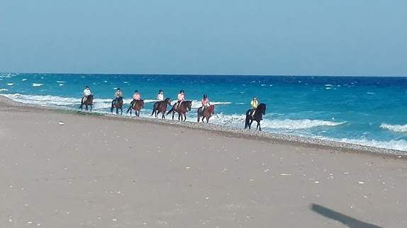 RIDING CLUB OF RHODES KADMOS - Γιατρός
