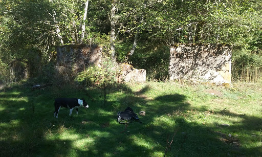 Tourist Attraction «Melmont ghost town», reviews and photos, Carbon River Rd, Carbonado, WA 98323, USA