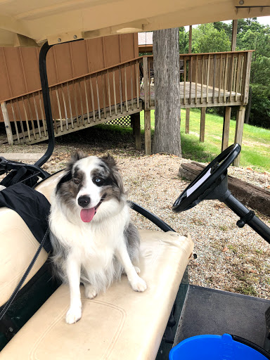 The Family Pet Vet image