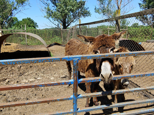 Zoo «Cricket Hollow Zoo», reviews and photos, 1512 210th St, Manchester, IA 52057, USA